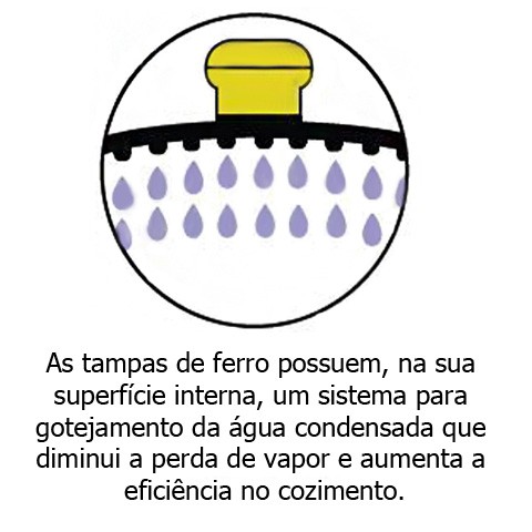 Caçarola de Ferro com Cabo de Madeira e Tampa de Ferro 4 L - Fumil